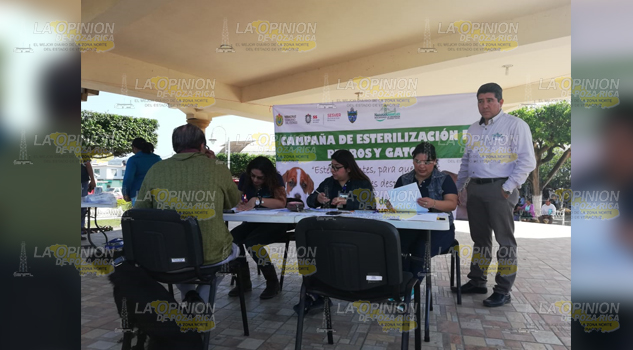 Valoran a mascotas para esterilizarlas
