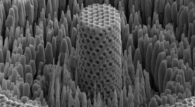 CREAN “ MADERA METÁLICA ”, DENSA COMO EL AGUA Y FUERTE COMO EL TITANIO
