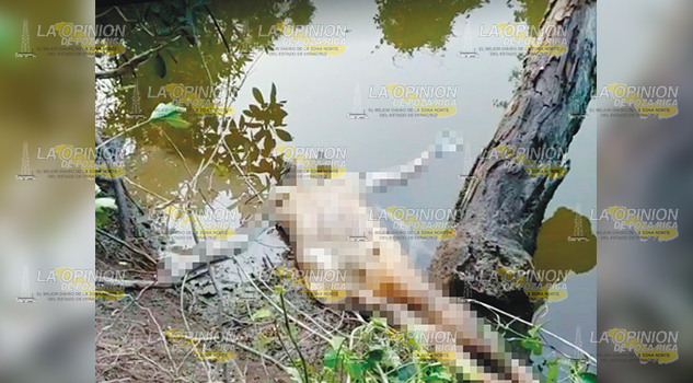 Jornalero encuentra cadáver descarnado en Tuxpan