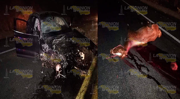 Caballo casi mata a familia sobre la autopista a Tejocotal