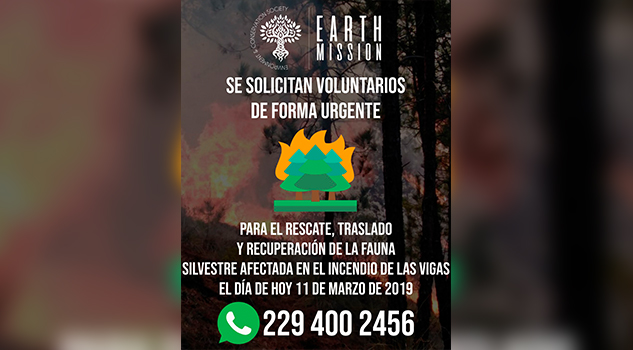Van por rescate de fauna en Las Vigas
