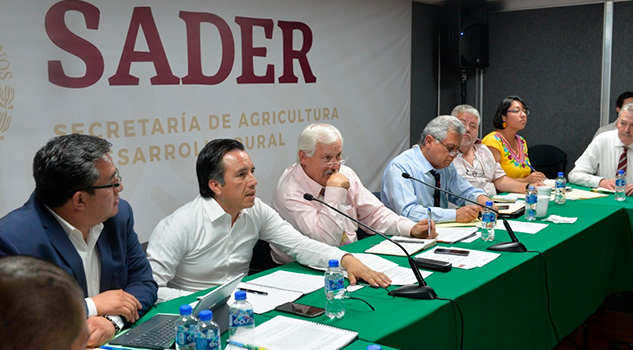 Anuncia Gobernador apoyo de 7.5 mdp para citricultores veracruzanos Anuncia Gobernador apoyo de 7.5 mdp para citricultores veracruzanos