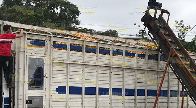 Buscan formar un frente de citricultores en Tihuatlán Buscan formar un frente de citricultores en Tihuatlán