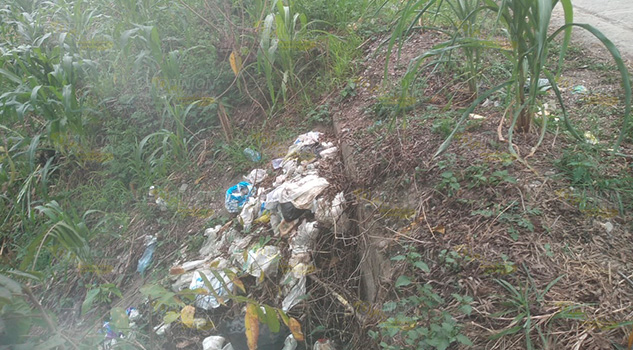 Denuncian tiradero de pañales a orillas del puente Lázaro Cárdenas - Santana Denuncian tiradero de pañales a orillas del puente Lázaro Cárdenas - Santana