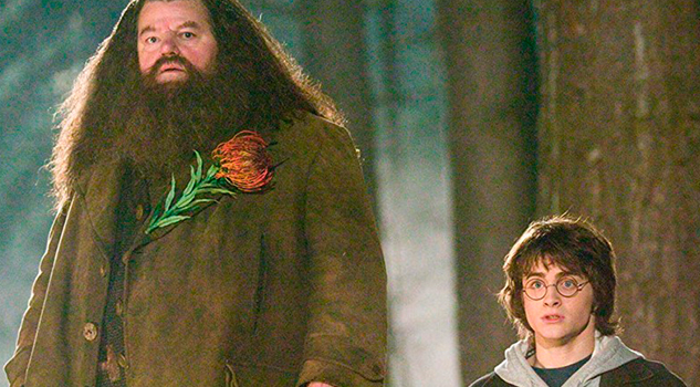 "Hagrid" de Harry Potter padece enfermedad que lo deja en silla de ruedas "Hagrid" de Harry Potter padece enfermedad que lo deja en silla de ruedas