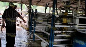 Más de lo mismo en la SADER, gestores y extensionistas de Naranjos Más de lo mismo en la SADER, gestores y extensionistas de Naranjos