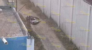 Niño perdido en Las Choapas, aparece "embolsado" Niño perdido en Las Choapas, aparece embolsado