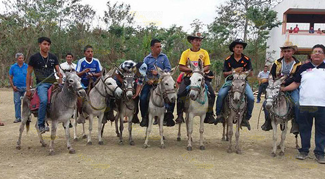 Posponen carrera de burros para el día domingo en Espinal Posponen carrera de burros para el día domingo en Espinal