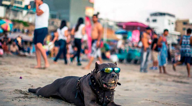 Prevén en la mitad del país calor de más de 35 grados Prevén en la mitad del país calor de más de 35 grados