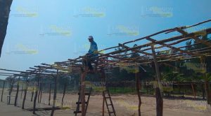 Rehabilitan palapas en playas de Tuxpan Rehabilitan palapas en playas de Tuxpan