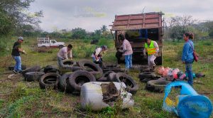 Retiran más de 100 toneladas de cacharros en el Larvatón en Cerro Azul Retiran más de 100 toneladas de cacharros en el Larvatón en Cerro Azul