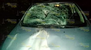 Sujeto es atropellado en la carretera Gutiérrez Zamora - Papantla Sujeto es atropellado en la carretera Gutiérrez Zamora - Papantla