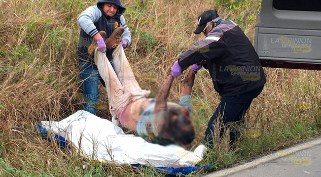 Tiran cadáver putrefacto en la carretera Tuxpan - Tamiahua Tiran cadáver putrefacto en la carretera Tuxpan - Tamiahua
