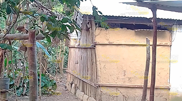 Zenon Pacheco engaña a familias de escasos recursos de La Ceiba Zenon Pacheco engaña a familias de escasos recursos de La Ceiba