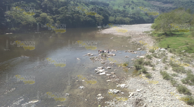 Envenenan y matan diferentes especies del río Necaxa a la altura de Progreso de Zaragoza, Coahuitlan