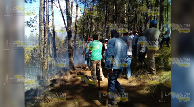 Con helicópteros controlan incendio en las Vigas