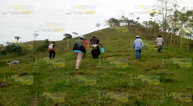 Reactivan tierras improductivas; a través programa se siembra