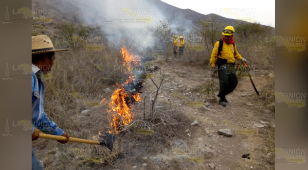 ¡Arde la sierra de Zongolica!