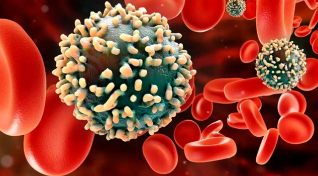 Nuevas imágenes revelan vulnerabilidades nunca antes vistas del VIH