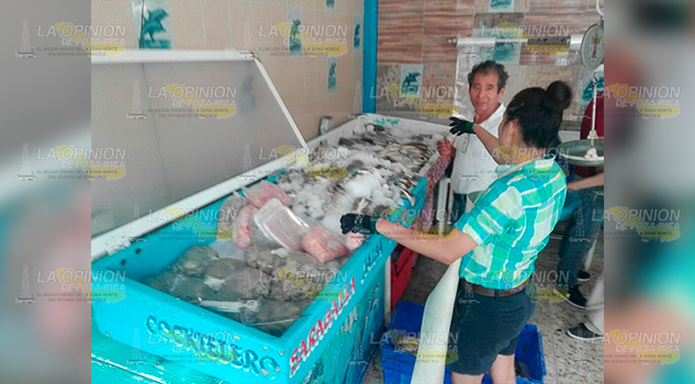 Prohíben por riesgo a la salud la venta de ostión en Tuxpan