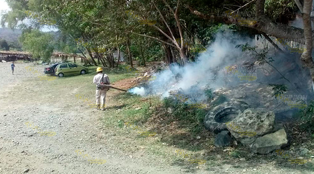 Fumigan áreas de palapas en Zacate Colorado