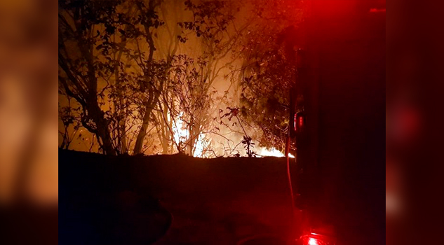 26 bomberos mueren combatiendo incendio forestal en China