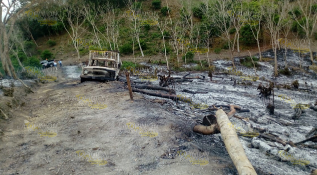 Incendio arrasa con camioneta y limonar, en La Galeana, Zamora