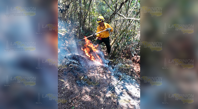 Bajo control la quemazón en Alto Lucero