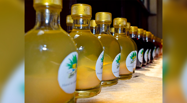 Producción de mezcal será especialidad universitaria en Michoacán