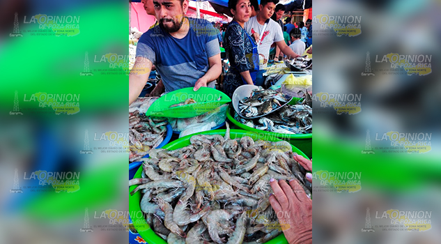 Suben hasta $320 el kilo de camarón; venta de ostión crudo sigue prohibida