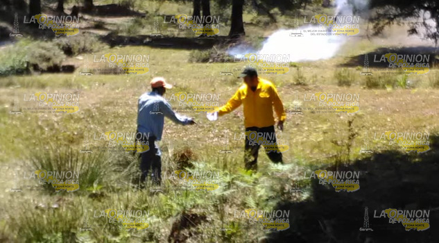 Buscan incendios forestales