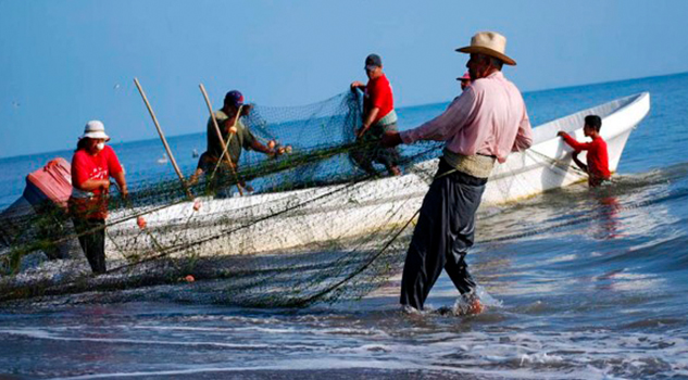 Se rescatará la pesca en Veracruz: Manuel Huerta