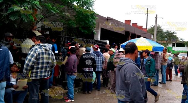 No llegan recursos de la mandarina, productores alamenses a la expectativa