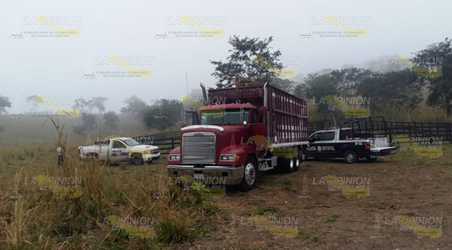 A la alza los casos de abigeato en Tihuatlán A la alza los casos de abigeato en Tihuatlán