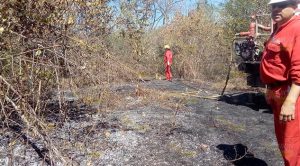 Alarmante incendio en Horcones, moviliza a bomberos de Álamo y Cerro Azul Alarmante incendio en Horcones, moviliza a bomberos de Álamo y Cerro Azul