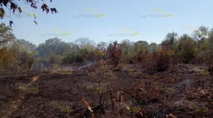 Alarmante incendio en Horcones, moviliza a bomberos de Álamo y Cerro Azul Alarmante incendio en Horcones, moviliza a bomberos de Álamo y Cerro Azul
