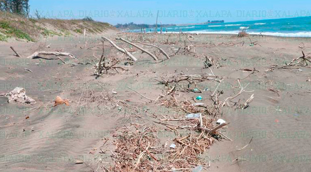 Bajo número de visitantes a playas veracruzanas esta Semana Santa Bajo número de visitantes a playas veracruzanas esta Semana Santa