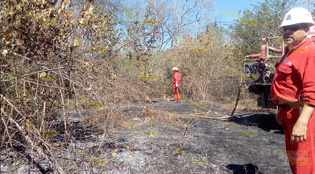Alarma, incendio en Horcones
