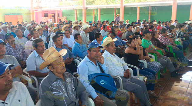 Citricultores de Papantla, en crisis Citricultores de Papantla, en crisis
