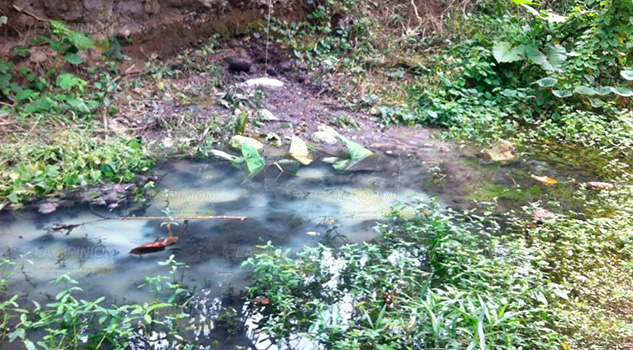 Ciudadanos denuncian arroyo contaminado en Cerro Grande Escolín Ciudadanos denuncian arroyo contaminado en Cerro Grande Escolín