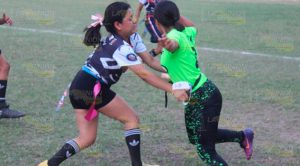 Confirmadas las finales de tocho infantil Confirmadas las finales de tocho infantil