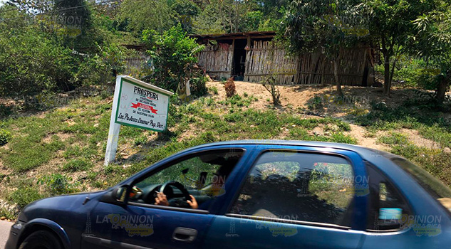Conflicto por pesca en Pajasco Limonar, comunidad de Papantla Conflicto por pesca en Pajasco Limonar, comunidad de Papantla