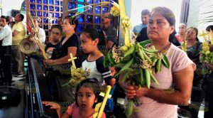 Domingo de Ramos en Tuxpan, para recordar la misericordia Domingo de Ramos en Tuxpan, para recordar la misericordia