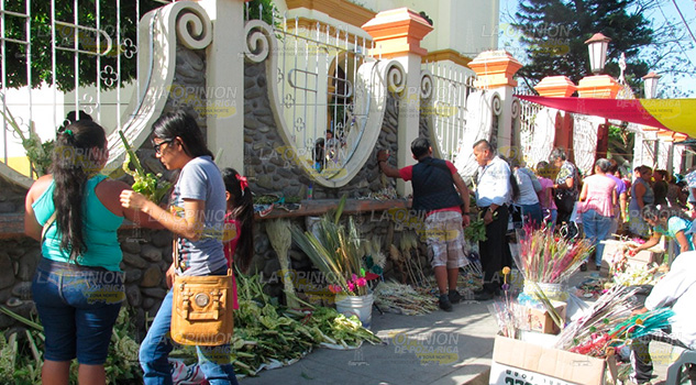 Domingo de Ramos en Álamo Domingo de Ramos en Álamo