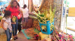 Domingo de Ramos en Álamo Domingo de Ramos en Álamo