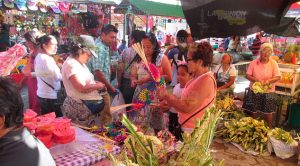 Domingo de Ramos en Álamo Domingo de Ramos en Álamo