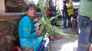 Domingo de Ramos en Álamo Domingo de Ramos en Álamo