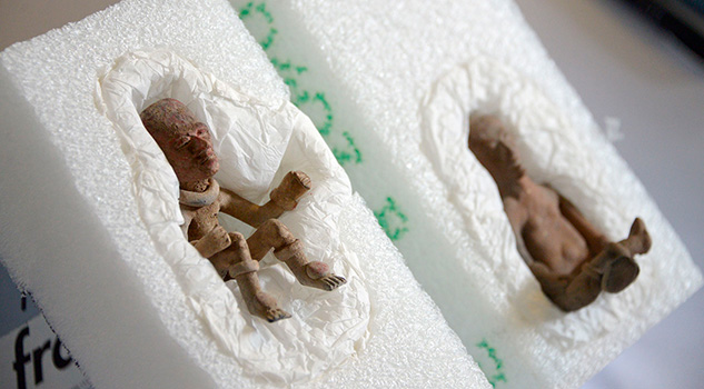 EUA restituye a México piezas teotihuacanas sustraídas ilegalmente del país EUA restituye a México piezas teotihuacanas sustraídas ilegalmente del país