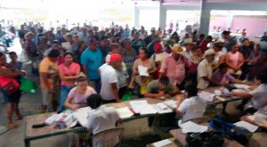 Entregan tarjetas del programa Sembrando Vida en Cazones de Herrera Entregan tarjetas del programa Sembrando Vida en Cazones de Herrera