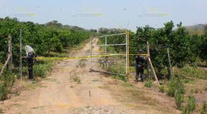 Gendarmería asegura 25 mil litros de hidrocarburo en Tihuatlán Gendarmería asegura 25 mil litros de hidrocarburo en Tihuatlán